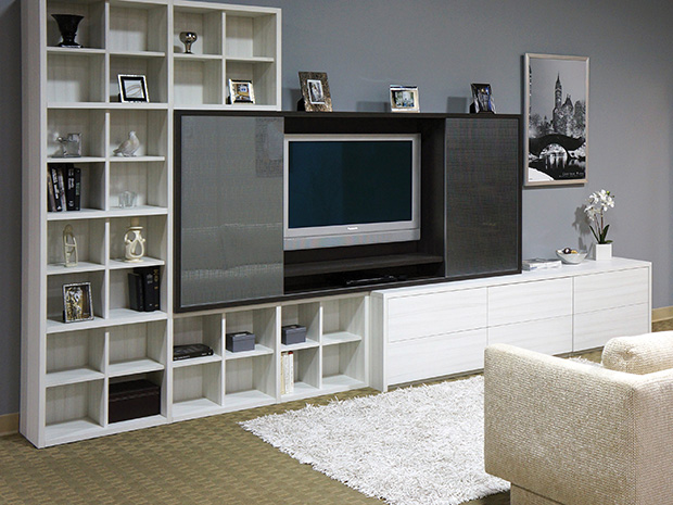 California Closets Ft. Worth - Entertainment Center and Storage System